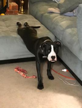 Deuce yoga stretch 1